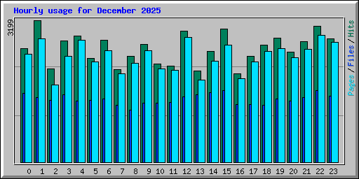 Hourly usage for December 2025