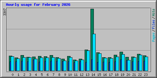 Hourly usage for February 2026